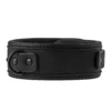 Blaze Luxury Fetish Collar and Leash