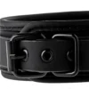 Blaze Luxury Fetish Collar and Leash