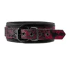 Blaze Deluxe Collar & Leash