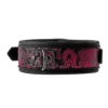 Blaze Deluxe Collar & Leash