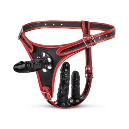 Triple Dildo Strap-On Harness Easytoys Fetish Collection