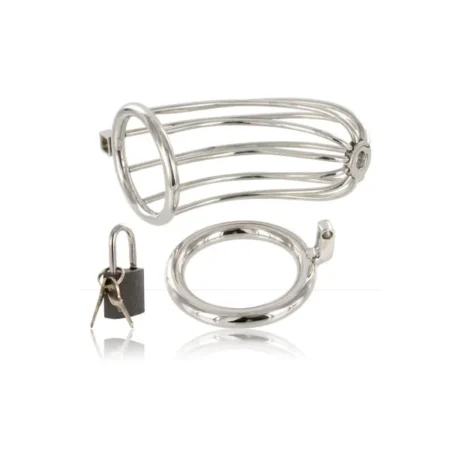 METAL HARD - BIRD CHASTITY RING CAGE