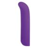 5 Inch Silicone 10 Function Vibrator Purple NMC