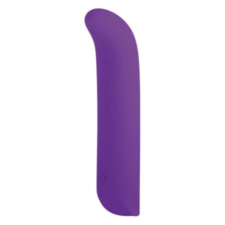 5 Inch Silicone 10 Function Vibrator Purple NMC