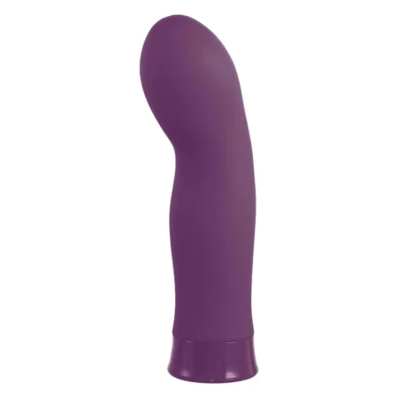 5 Inch Rechargeable Silicone 10 Functions Speed Vibrator Purple NMC