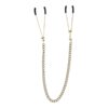 Nipple Clamps With Chain VIRGITE